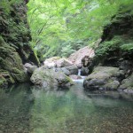 滝川本流～古礼沢