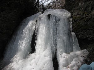 神津牧場