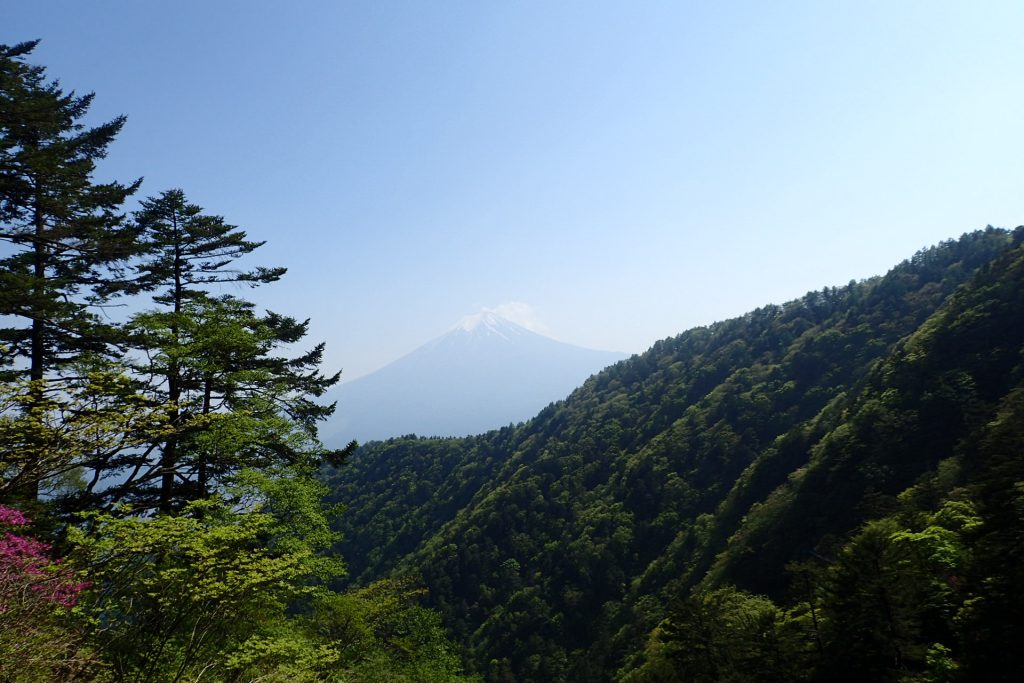 富士山が近すぎる!byタナミー