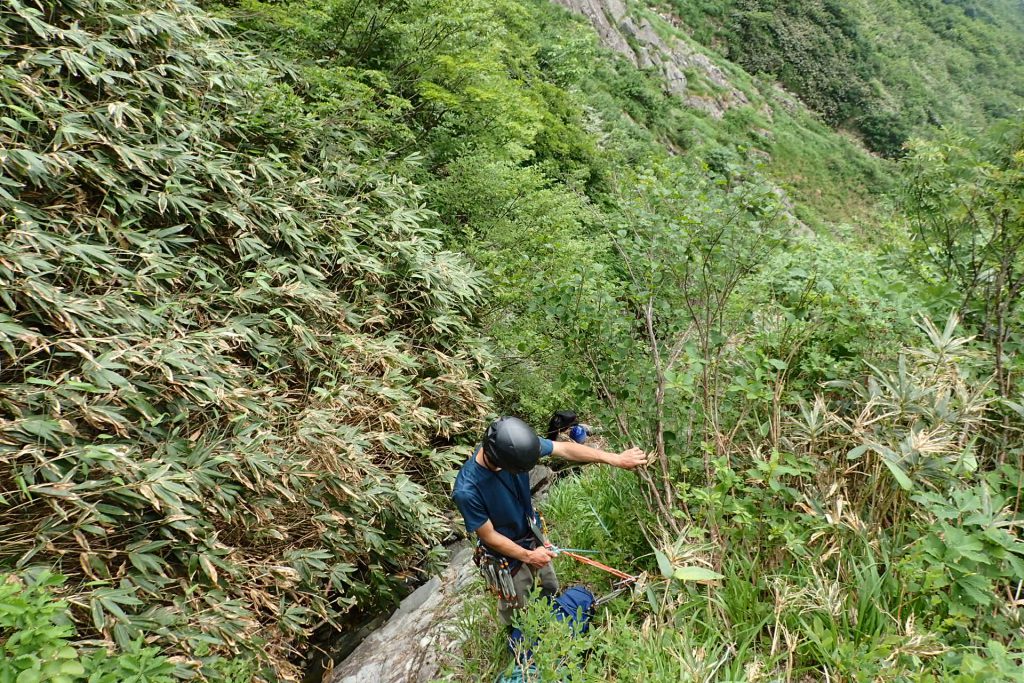 このすぐ手前に踏み跡あり