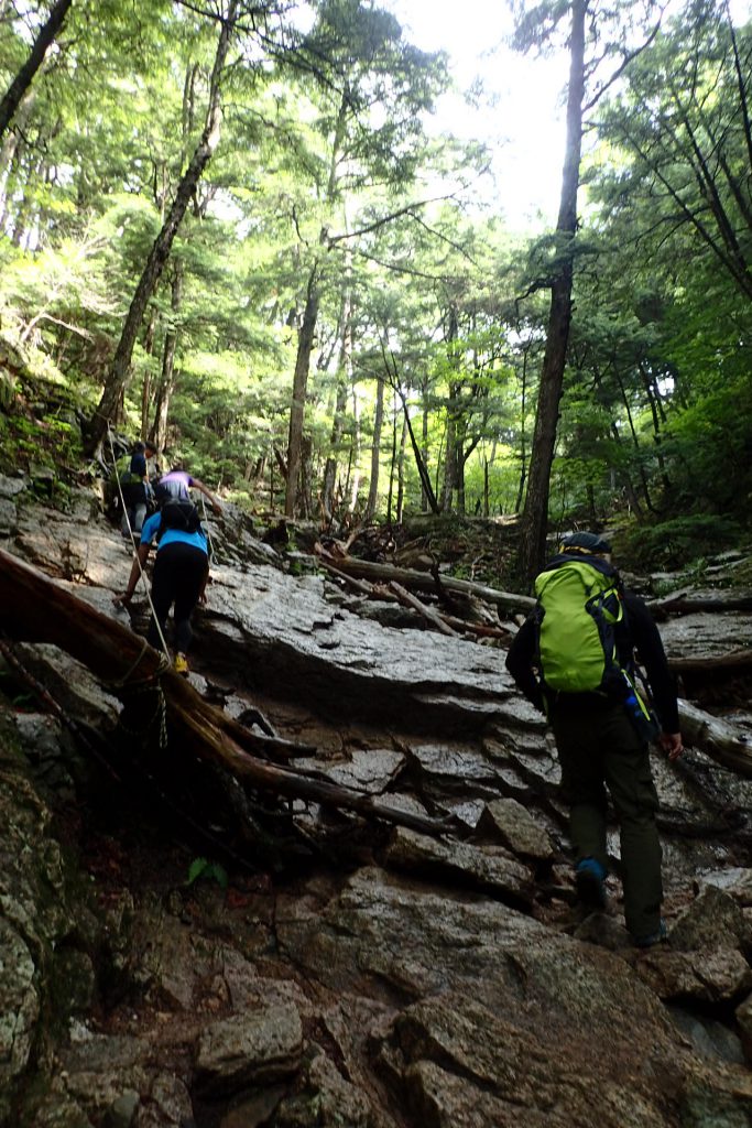 一般登山道を通って大ヤスリ岩へ