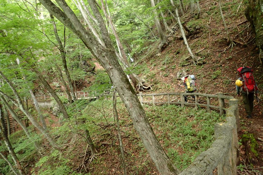 庚申川には庚申山の登山道まで林道を歩く